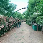 Il Divino *