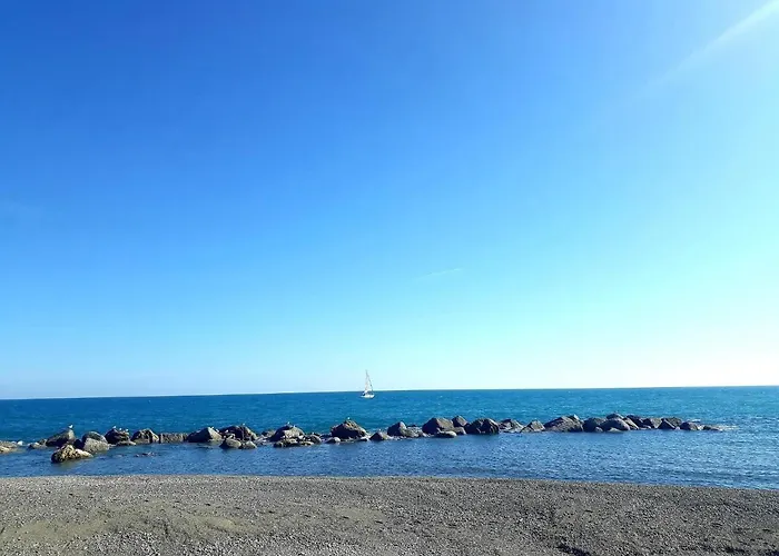 Il Divino Nyaraló *