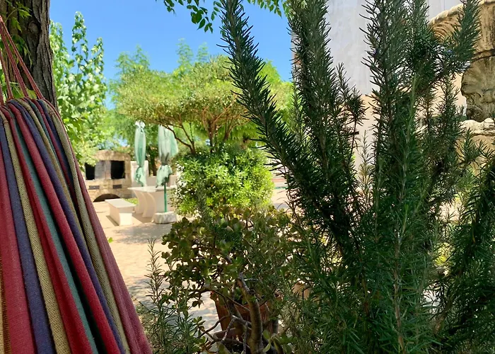 Il Divino Cirò Marina