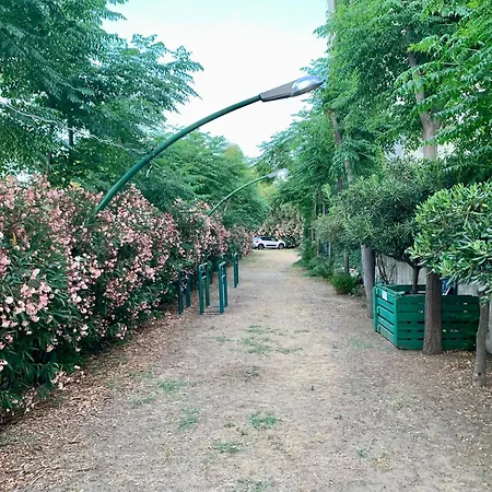 Il Divino *