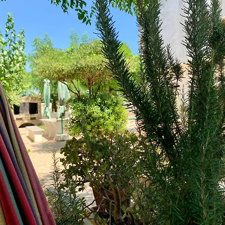 Il Divino Cirò Marina