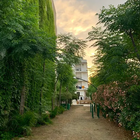 Il Divino